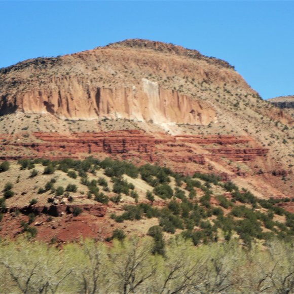 Meet your Posher, Lori - Picture 3 of 9